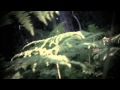 Mokoma - Illan henki 