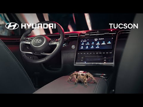 Hyundai x Uncharted | Car Wash