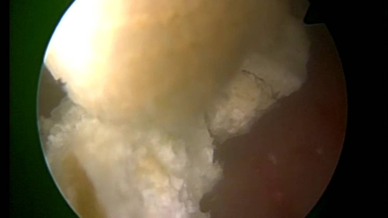 Enrique Pulido Contreras-35