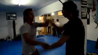 preview picture of video 'proWES Alanya Wing Chun'