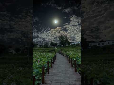 beautiful nature75 #newmusic #spotify #nature #travel