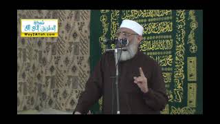 الاخلاص | الشيخ شوقي عبد الصادق image