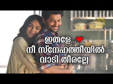 Ithale Nee Snehatheeyil ❤ Full Lyrics | Hi Nanna | Nani, Mrunal Thakur | Hesham Abdul Wahab