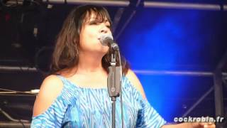 Cock Robin - El Norte (live Somain-30 juin 2012)