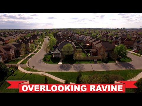 Ajax Real Estate - 44 Armitage Crescent Aerial View