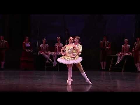 DON QUIXOTE - Grand Pas de Deux Kitri & Basilio (Dorothée Gilbert & Karl Paquette)