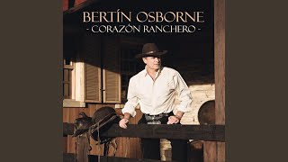 Usted Lyrics English Translation