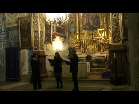 Video thumbnail for Domine Deus, Agnus Dei
