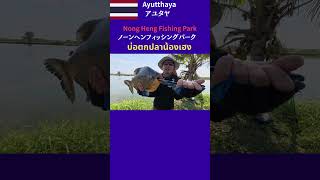 タイランド アユタヤの多魚種釣堀ノーンヘンフィッシングパーク