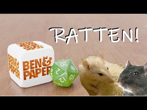 Rattenalarm bei Ben&Paper