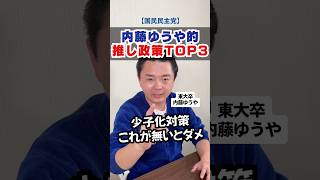 国民民主の推し政策TOP3 パート①