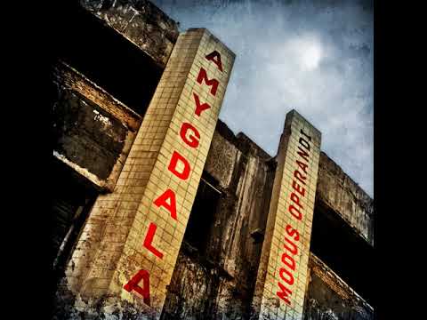 10 Amygdala - SimStim