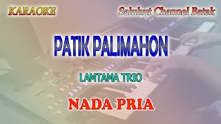 Download lagu PATIK PALIMAHON ll KARAOKE BATAK ll LAMTAMA TRIO ll NADA PRIA A=DO mp3 Download lagu PATIK PALIMAHON ll KARAOKE BATAK ll LAMTAMA TRIO ll NADA PRIA A=DO mp3