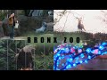 Bronx Zoo Cinematic IPhone 16 Pro Apple Log