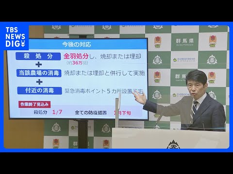 羽が抜け落ちた鶏の治療方法は？考えられる 4 つの原因と問題を解決する簡単な解決策  庭園