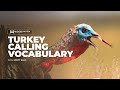 Turkey Calling Vocabulary With Scott Ellis
