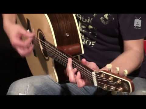 SEAGULL Artist Studio CW QII & Marek Šmaus