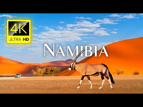 NAMIBIA 4K Video - Namibia Desert Wildlife - Documentary Film - Travel Around Namibia
