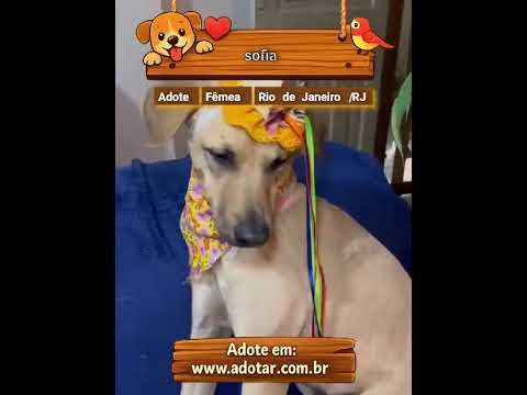 Vídeo de sofia