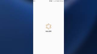 how to unlock gallery lock app