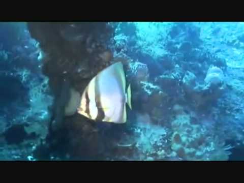 Abraham Hicks & Melanie Fiona music mix