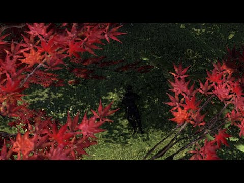 Another 500CP Stamina Nightblade 1vX On An Emotional Ting PC EU PvP | FIRESONG