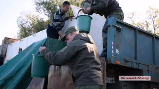 Видео