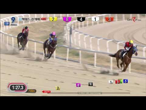 Herald Business Trophy 2019 - Cheongdam Dokki