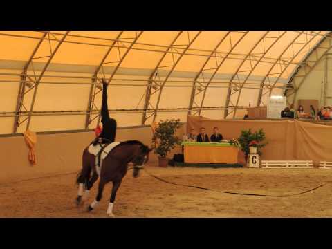 Voltigieren Wildenburg - Lasse Dröscher - Kür (Sonntag) - LM Bodenheim 2013