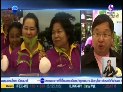การผ่าตัดมะเร็งเต้านม ผู้หญิงที่มีหน้าอกเล็ก