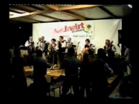 Alpski Kvintet mit Joze Burnik Live  Guten Morgen Finale.wmv