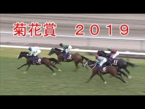 菊花賞　２０１９　武豊
