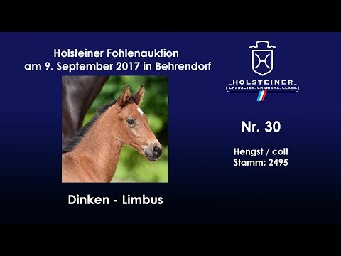 Nr. 30 v. Dinken - Limbus