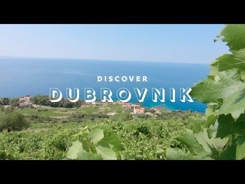 クロアチアで最も珍しいワイナリーにダイブ - ロンリープラネット×GoPro (Dive into Croatia's most unusual winery - Lonely Planet x GoPro)