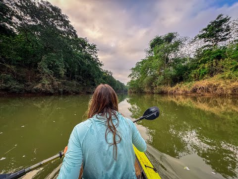 The Banana Bungalow at Lucky Dreamer Lodge