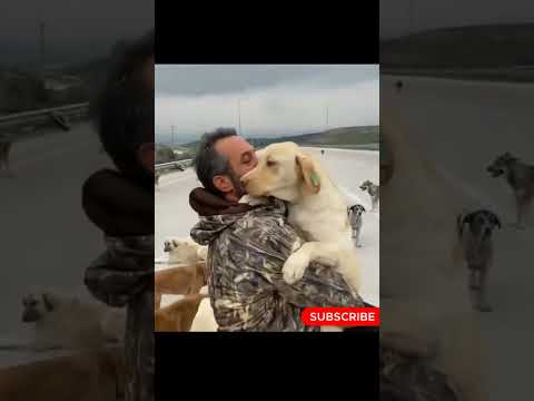 Man with Pure heart #youtubeshorts #shortvideo