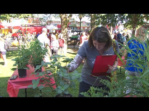 Weed Identification Contest