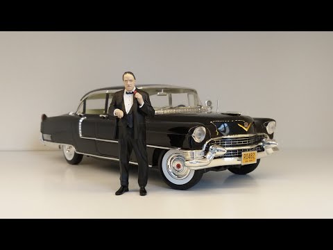 CBD for Cats Video Preview