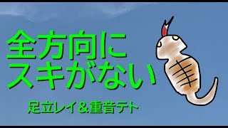 - 全方向にスキがない / 足立レイ&重音テト