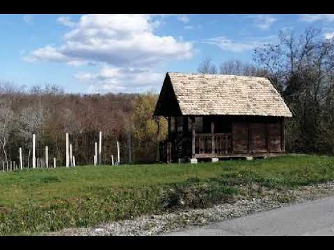 Slavonijo, pustinjo moja Zvonko Kvesić & Krunoslav Dražić - studio Orchestra