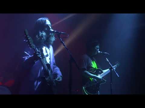Sammy Boy - Mapache