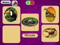 Who Am I Animal Sounds Quiz