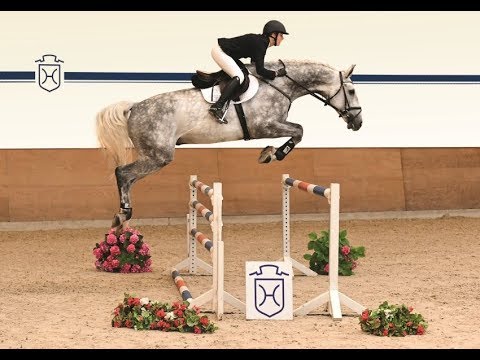 101 | Cous Cous v. Cachas - Lasino