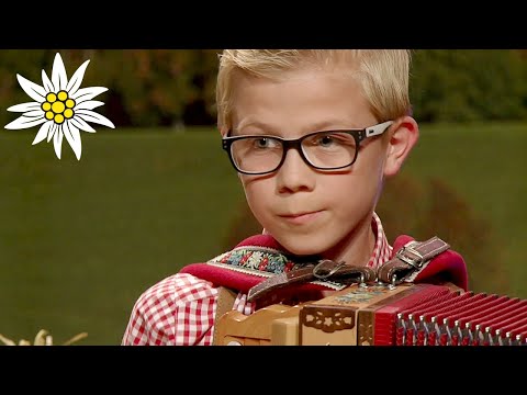 Alpler Polka | Bernd Gaugl (Steirischer Harmonikawettbewerb 2016)