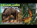 Butterflies And Blue Wildebeest Reveals Grasslands Animal Pack Planet Zoo News