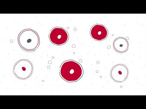 Allogeneic Stem Cell Transplants