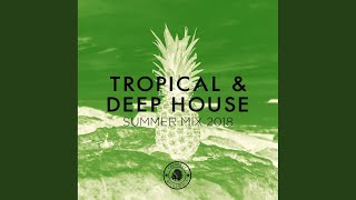 Like A Bird (Original Mix)