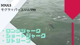 SOULS(ソウルズ) MOGURAPPER SLIM(モグラッパースリム) 190 使用 SOULS(ソウルズ) MOGURAPPER SLIM(モグラッパースリム) 190 使用