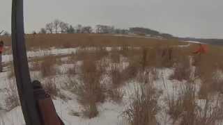 preview picture of video 'Awesome Pheasant Hunt Evansville Wisconsin 2-8-15'