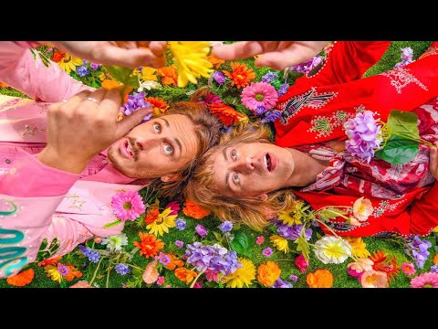 Lime Cordiale - Facts Of Life (Offical Music Video)